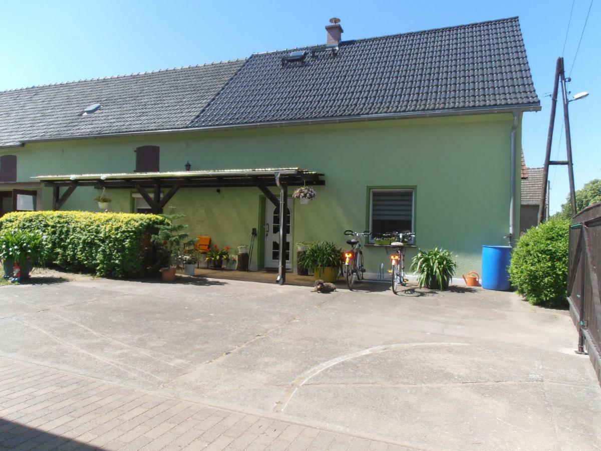 Ferienhaus Golm, 04924 Zobersdorf บาด ลีเบนแวร์ดา ภายนอก รูปภาพ